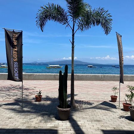 Papa Freds Beach Resort Пуэрто-Галера Экстерьер фото