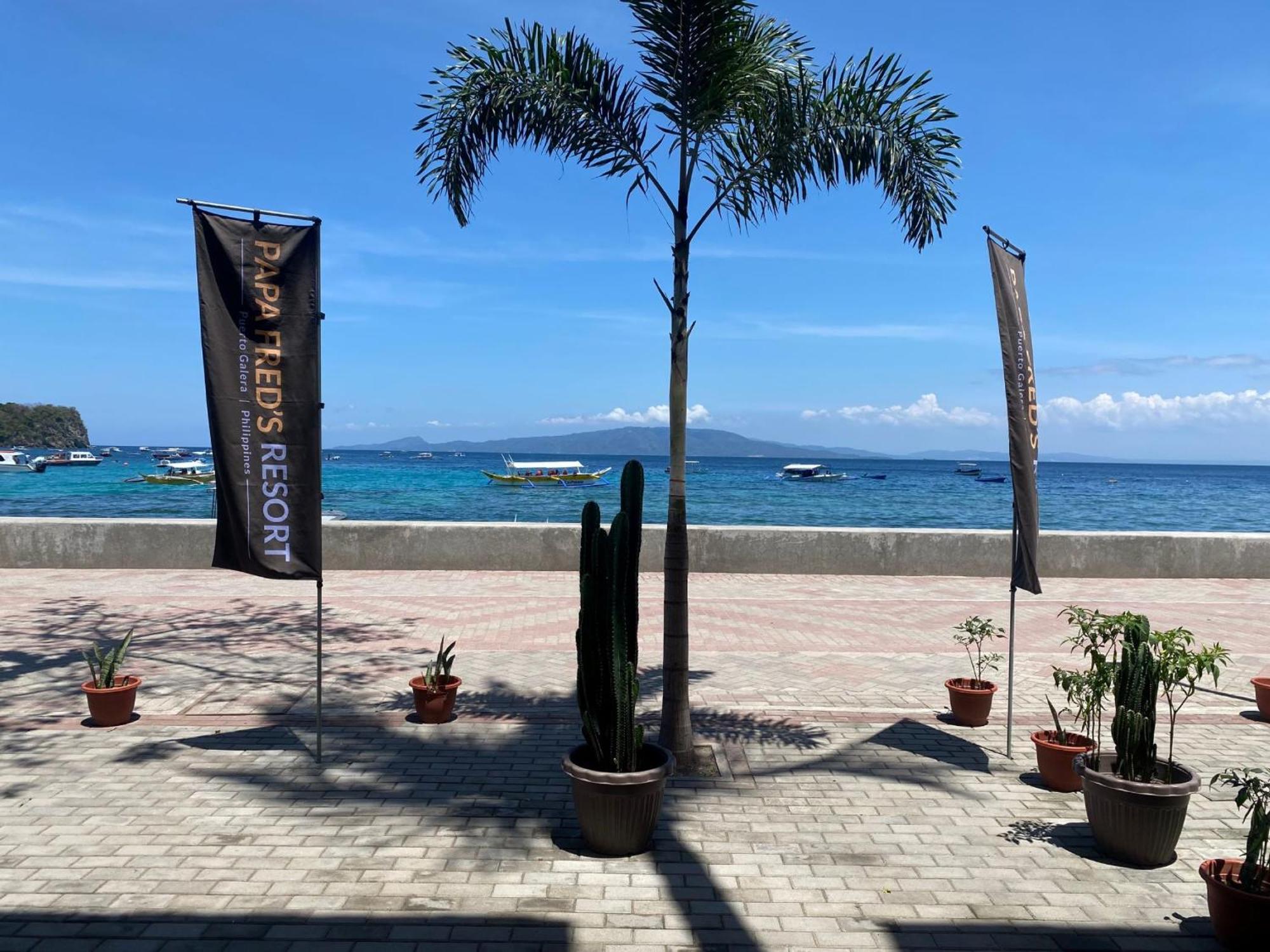 Papa Freds Beach Resort Пуэрто-Галера Экстерьер фото